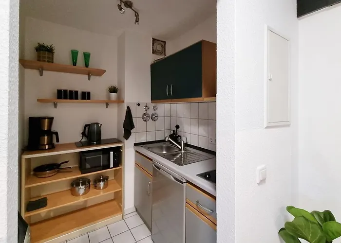 Charmante 1-zimmer In Winzerla Apartment *