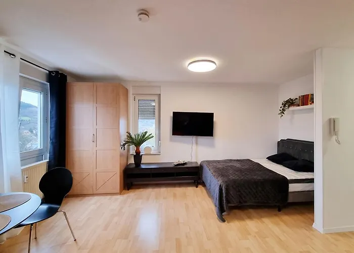 Charmante 1-zimmer In Winzerla *